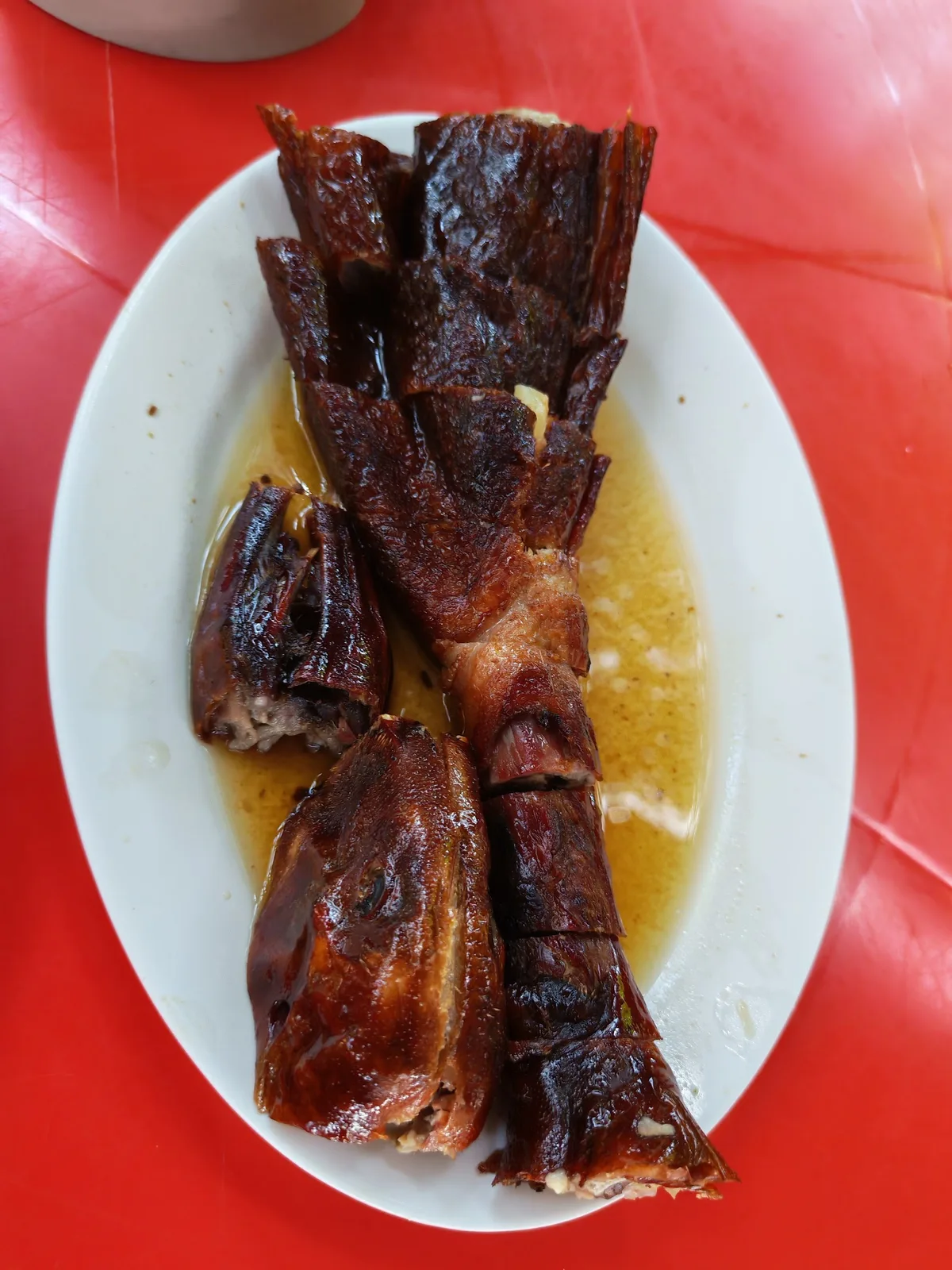 Roast duck on a white plate