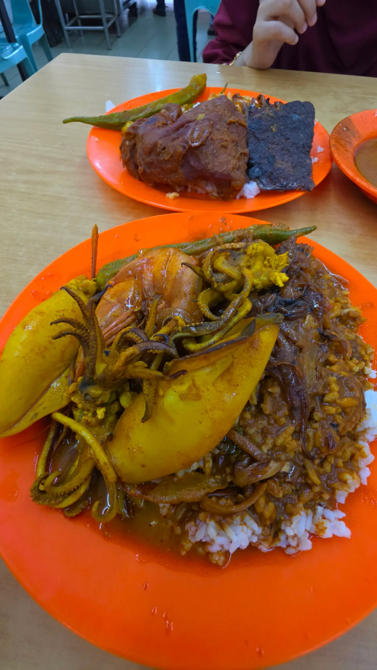Ali Ameir Nasi Kandar Banjir — signature dish