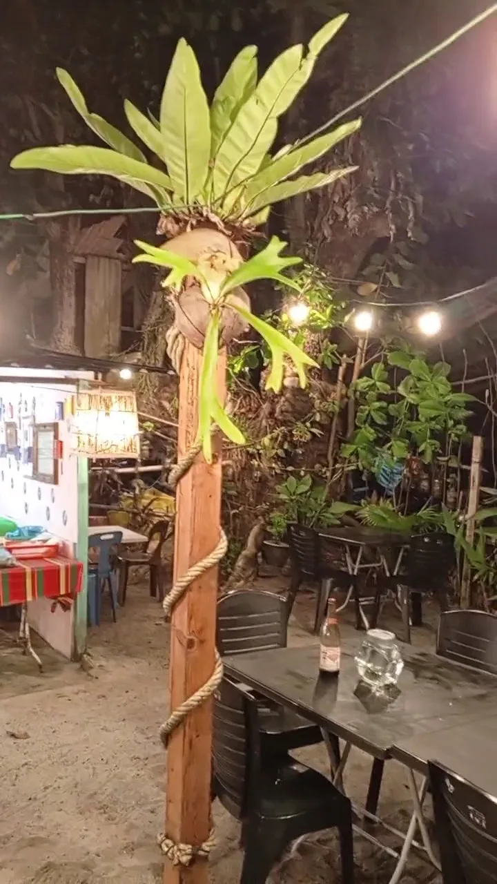 Garden seating at night