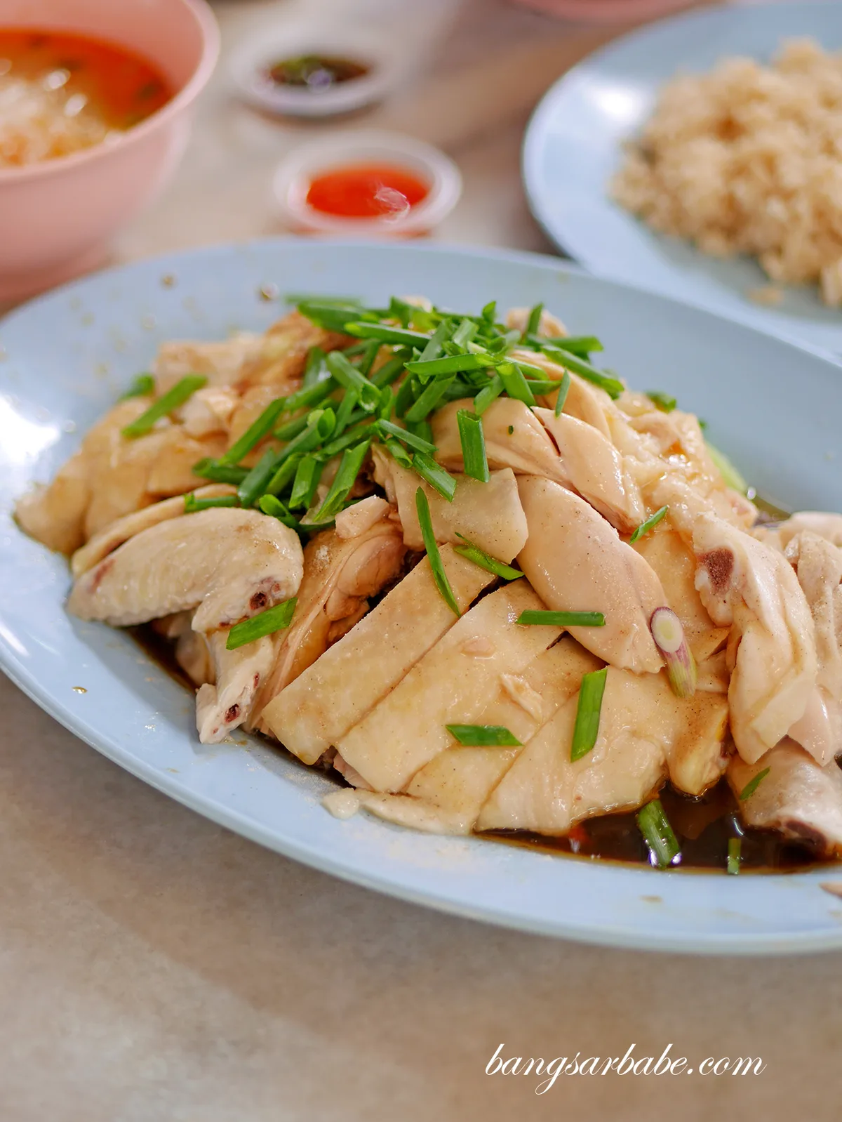 Plate of poached chicken with spring onion and soy dressing