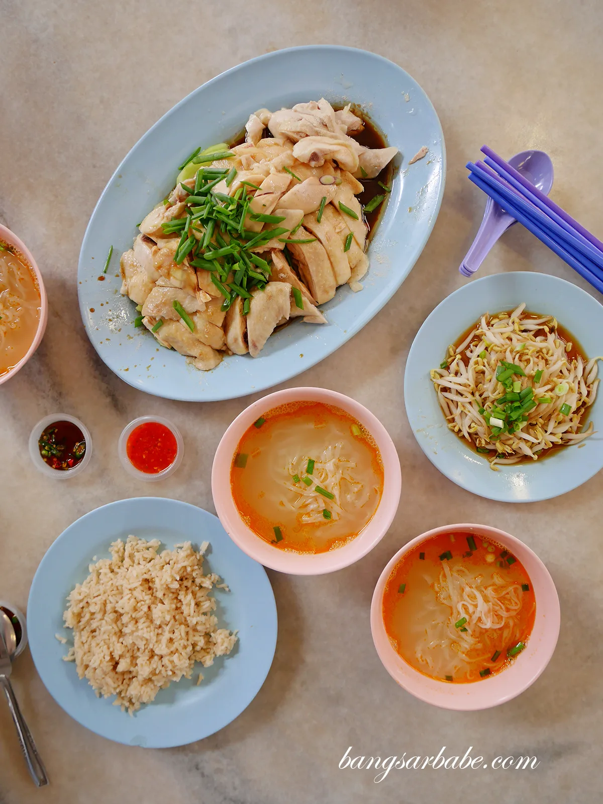 Overhead spread of poached chicken, chicken rice, blanched beansprouts and hor fun soup