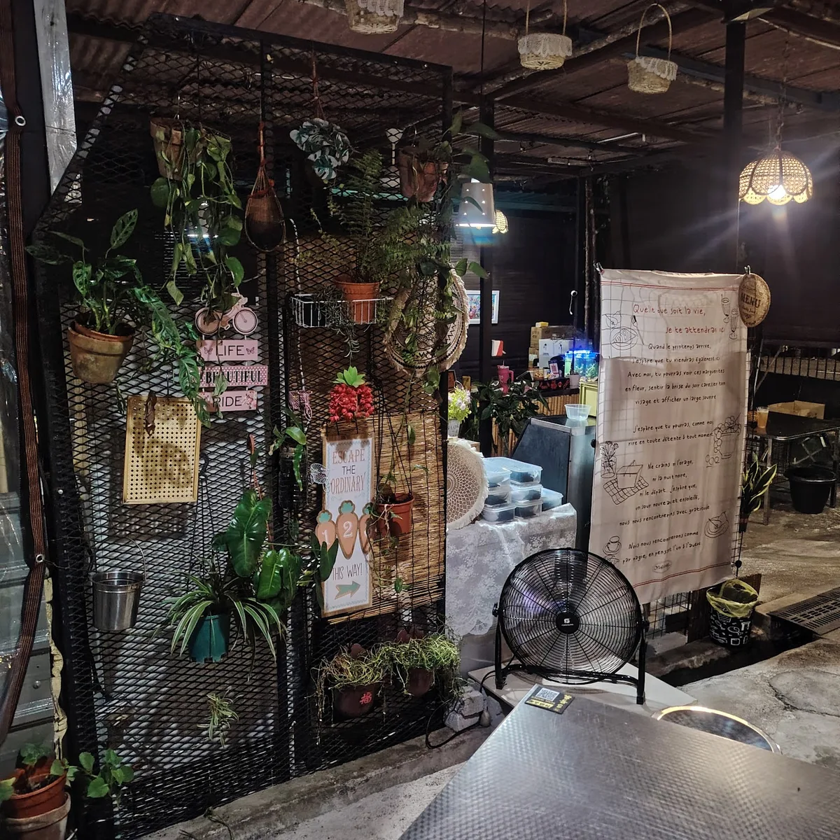 Dining area with hanging plants