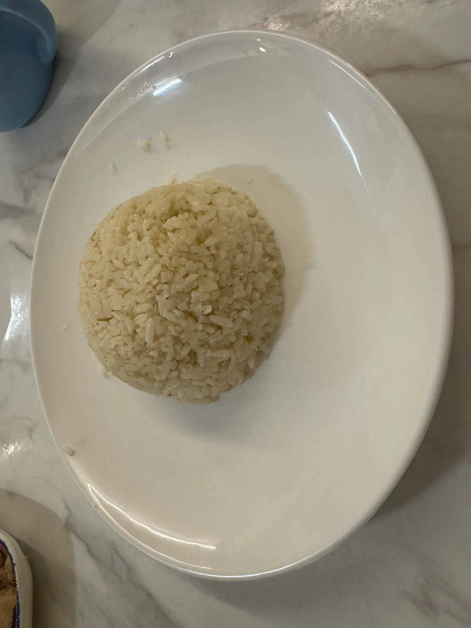 Jun Zai Asia Chicken (俊仔亚洲滑鸡) — dish
