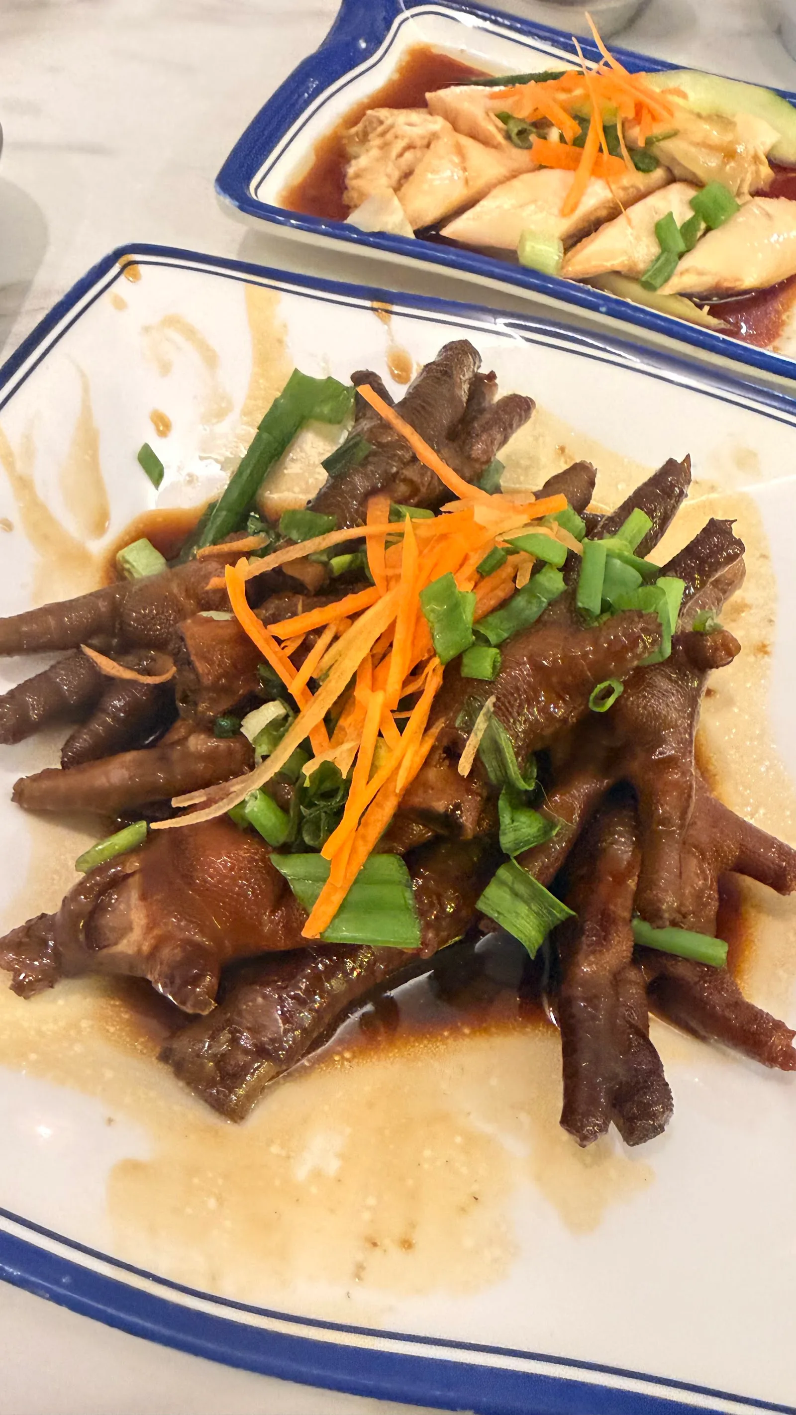 Jun Zai Asia Chicken (俊仔亚洲滑鸡) — dish