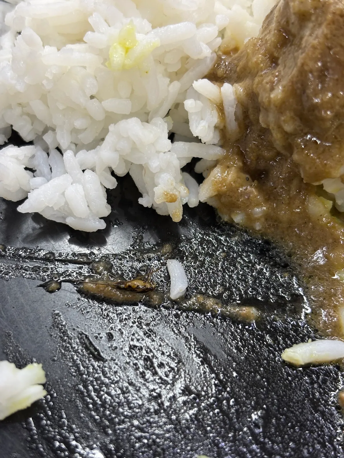 Kari Corner — signature dish