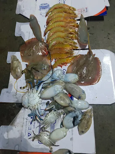 Laksa Tempurung Ombak Damai — dish