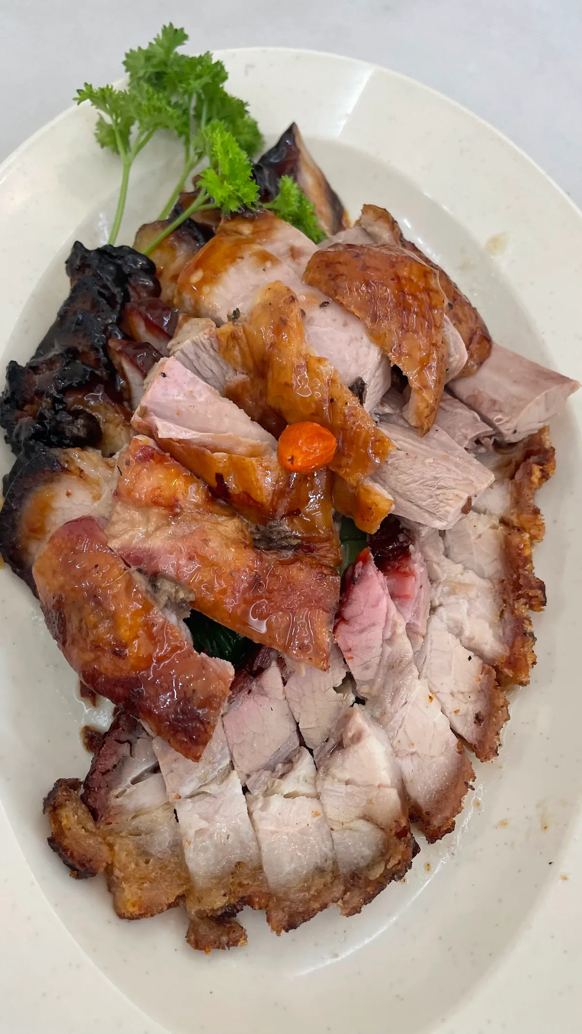 Roast pork and char siew