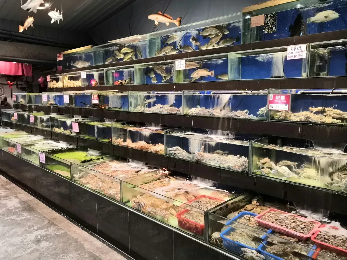 Penang Hai Boey Seafood — interior