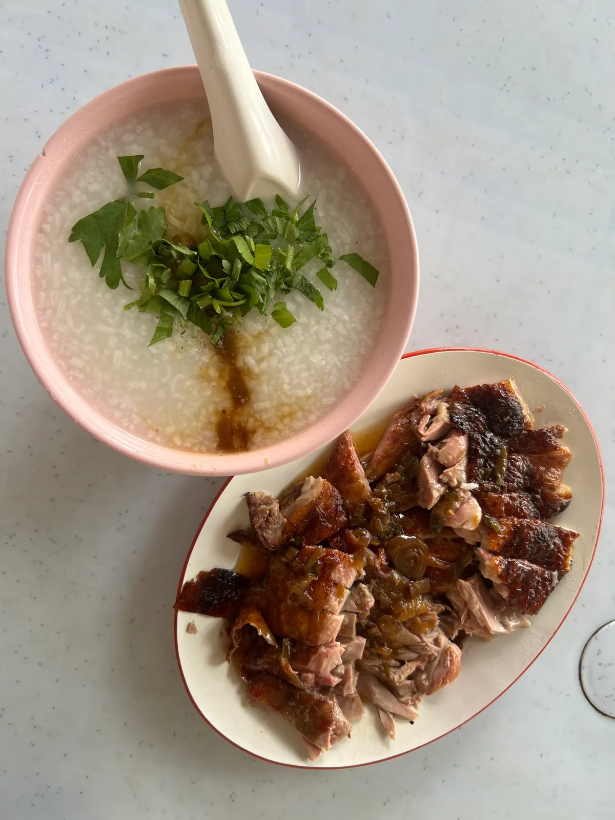 Roasted Duck Porridge — signature dish