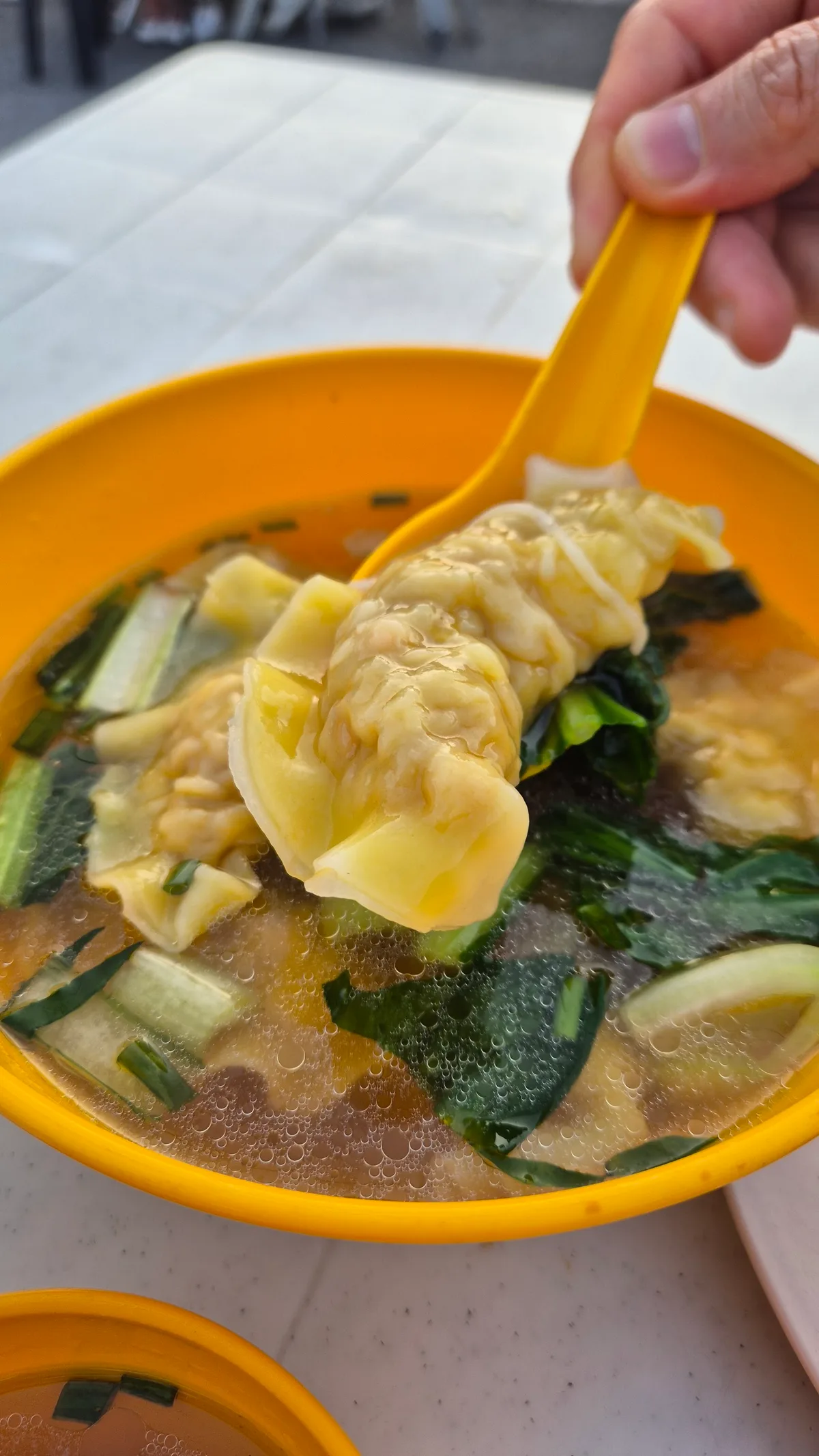 Boiled wantons in soup