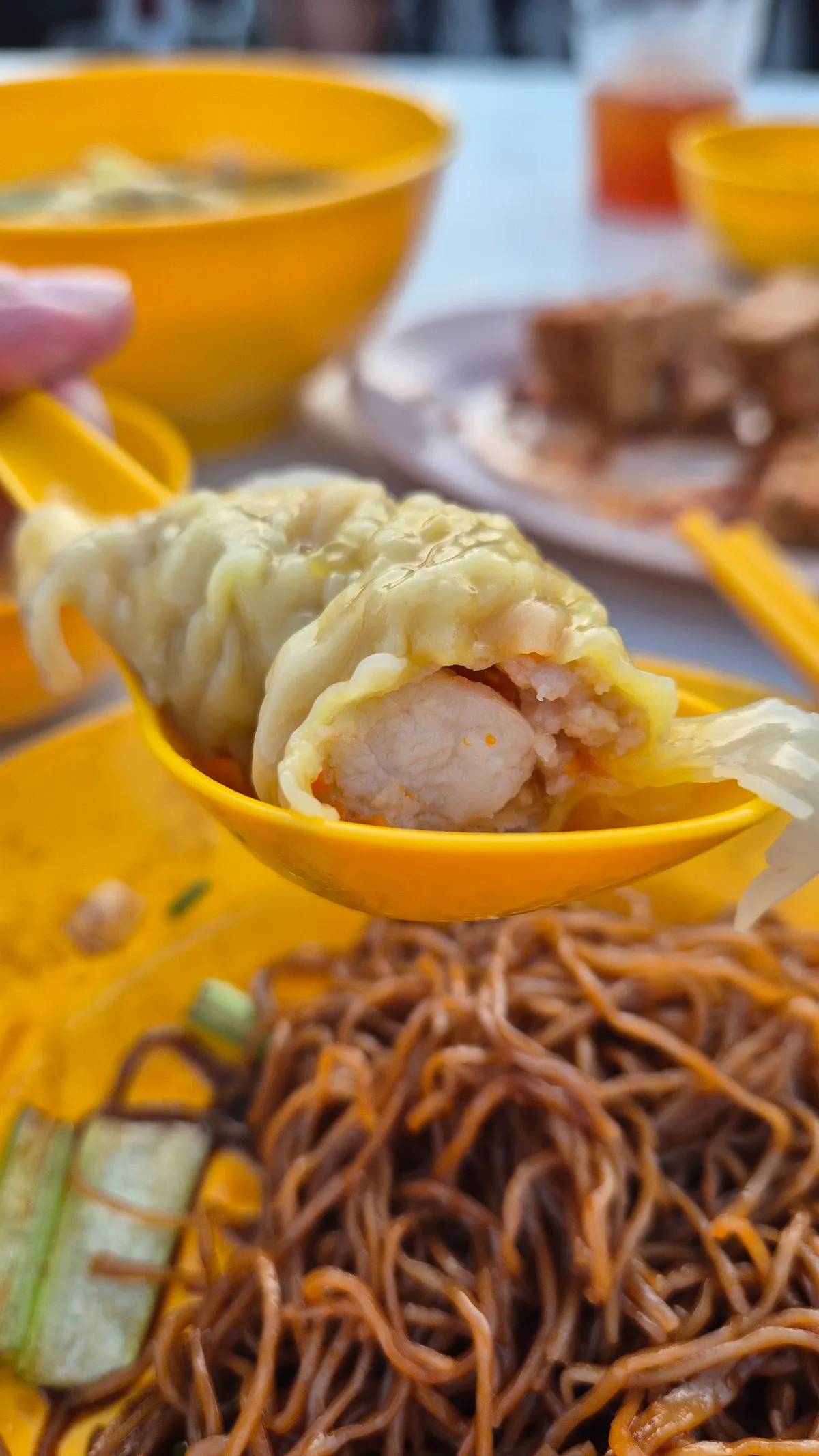 Wanton and noodles