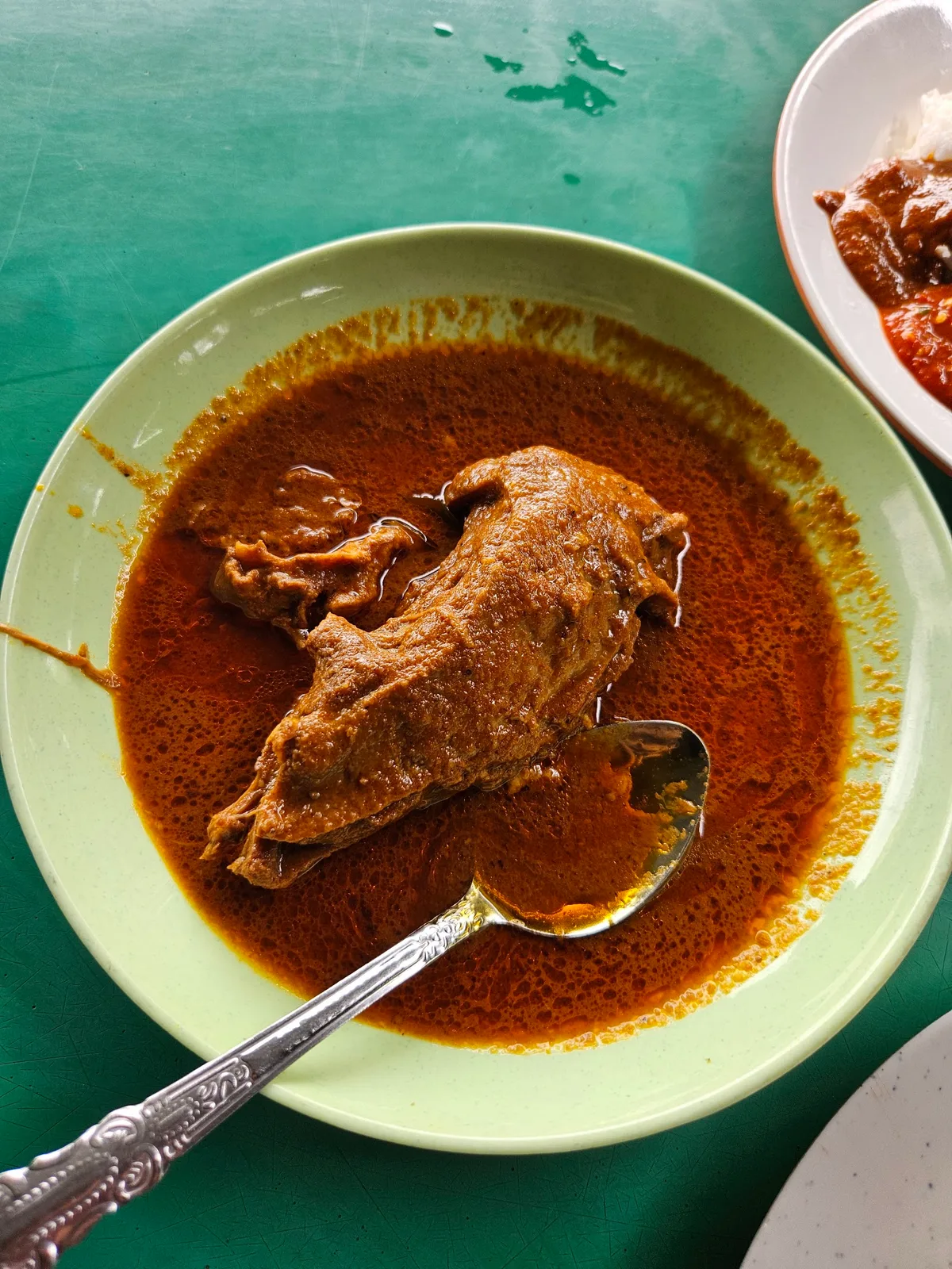 Bowl of duck curry