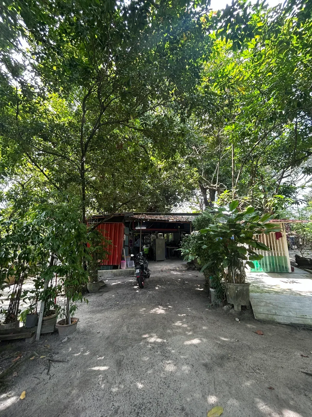 THE GARDEN BANANA LEAF — storefront