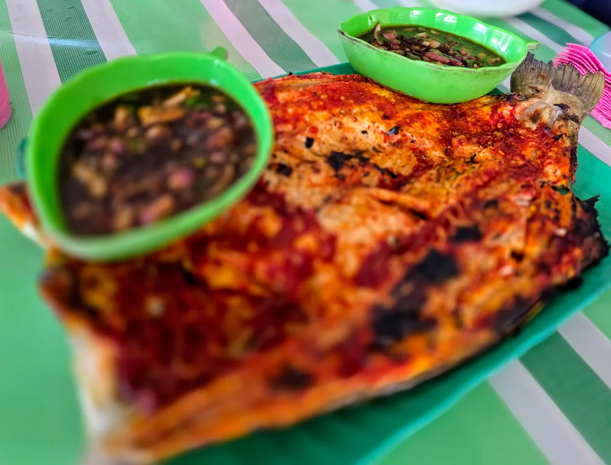 Grilled fish