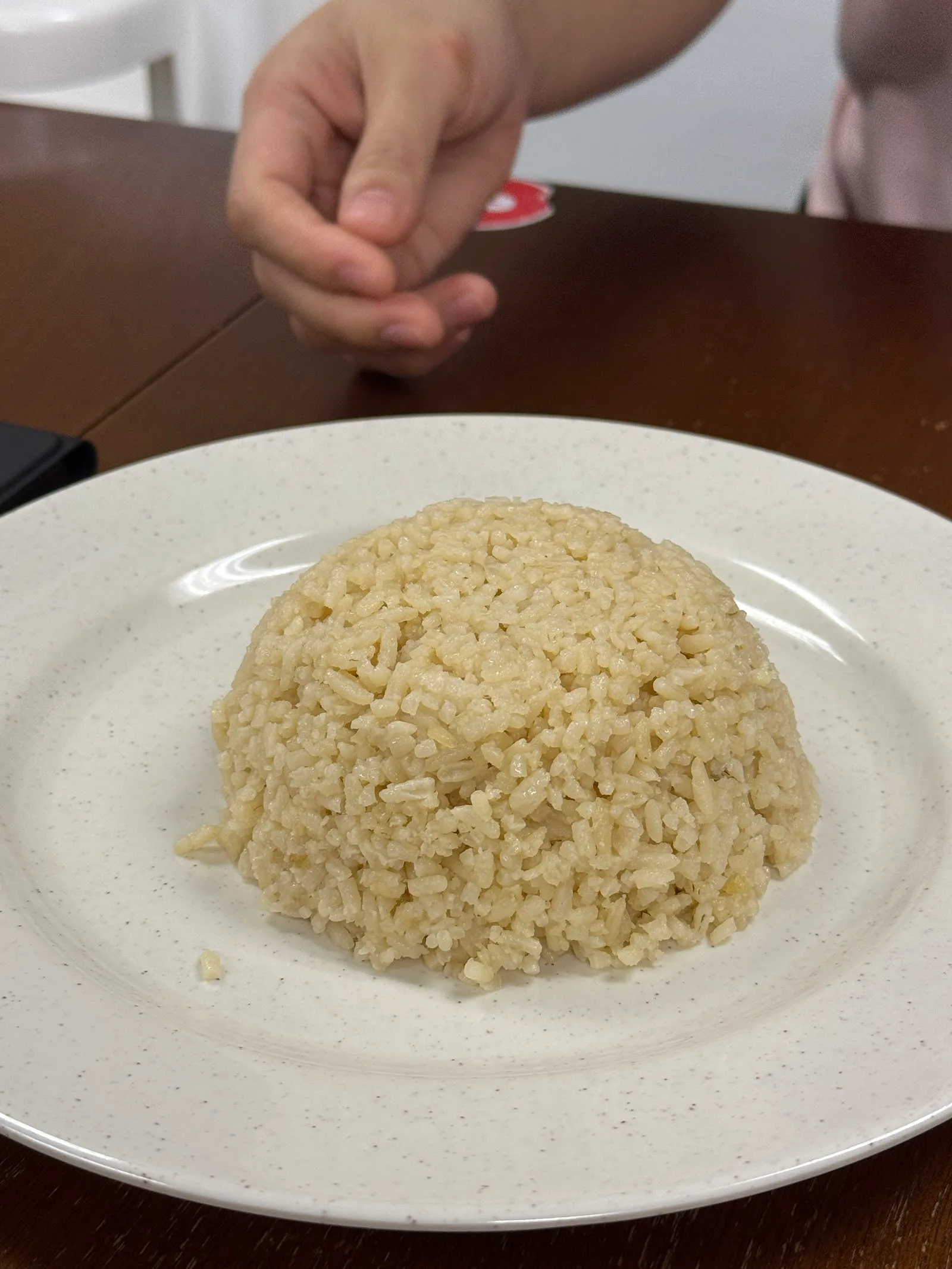 Weng Hwa Chicken Rice 荣华烧腩芽菜鸡 — dish
