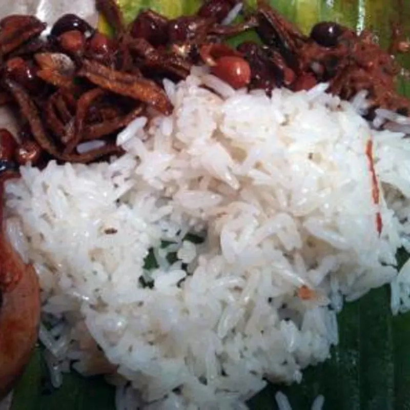 Jin Hoe Cafe Nasi Lemak — dish from the review