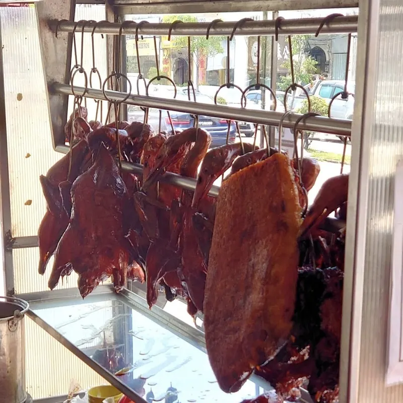 Jit Seng Hong Kong Roasted Duck Rice — dish from the review