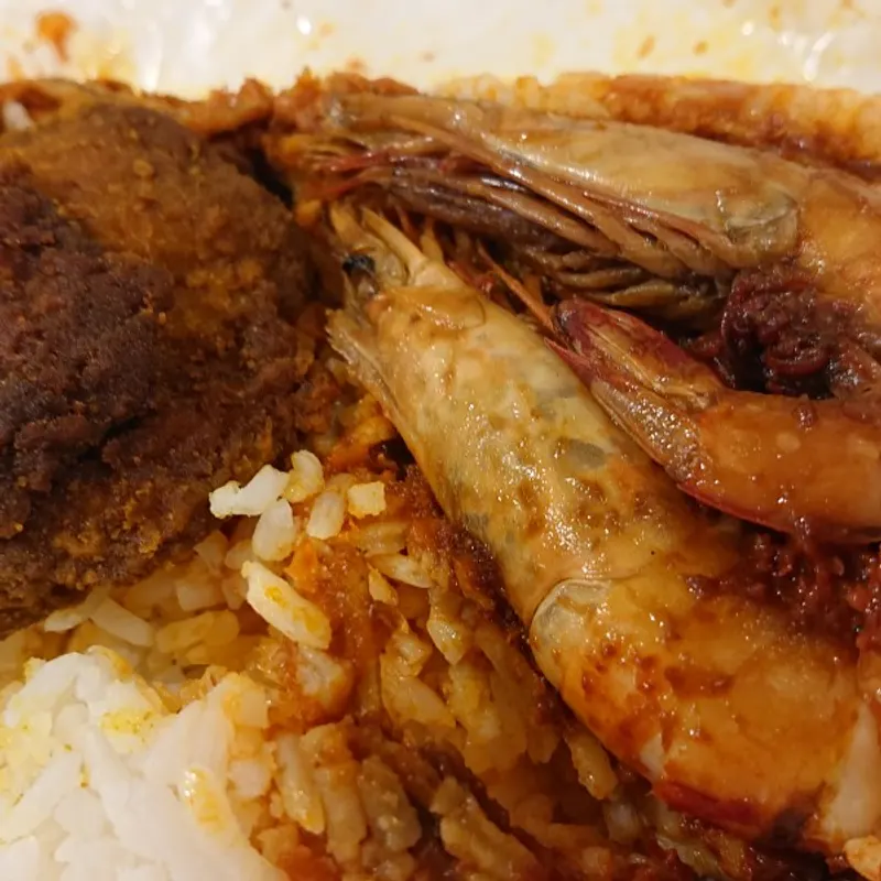 Paya Terubong Nasi Lemak — dish from the review