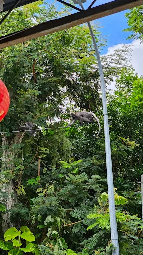 Ng ling ching — photo from their Google review