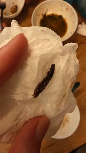 球球 — photo from their Google review